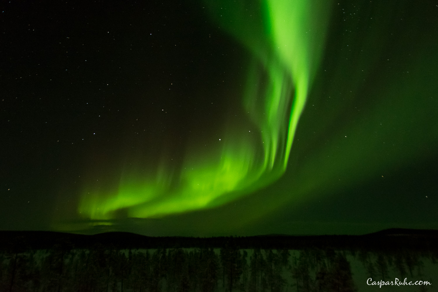 Aurora